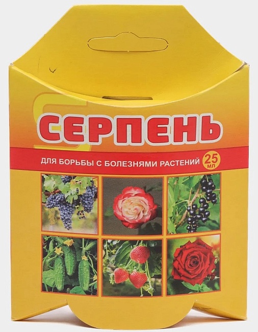 Серпень